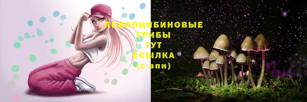 apvp Вязьма