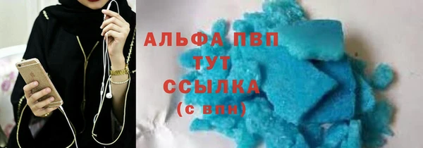 трава Гвардейск