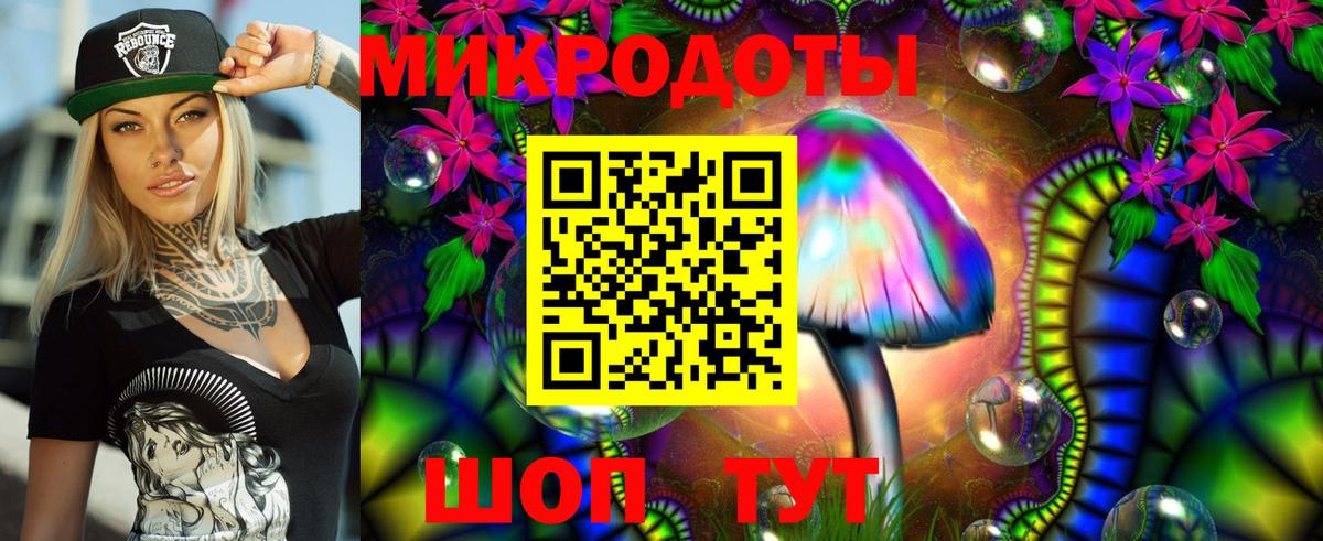 Галлюциногенные грибы Psilocybine cubensis Гагарин